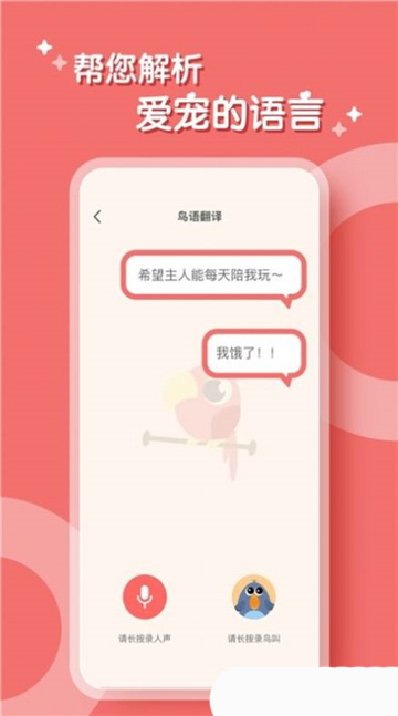鹦鹉翻译器