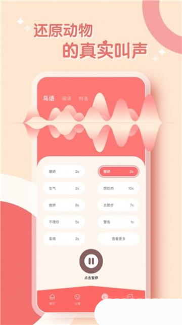 鹦鹉翻译器