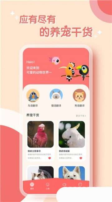 鹦鹉翻译器
