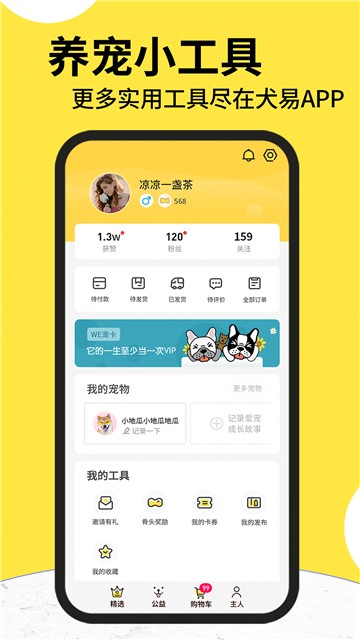 犬易