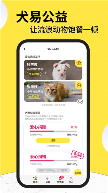 犬易