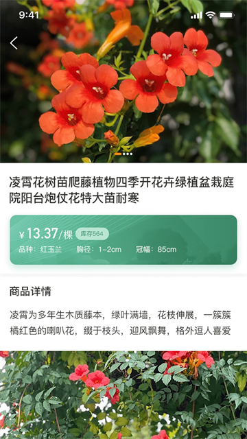 一千零一叶