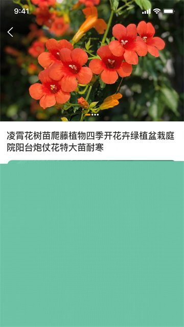一千零一叶